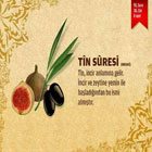 Tin Suresi