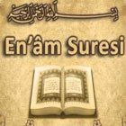 Enam Suresi